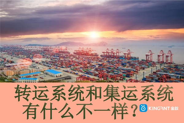 轉(zhuǎn)運(yùn)系統(tǒng)和集運(yùn)系統(tǒng)有什么不一樣？