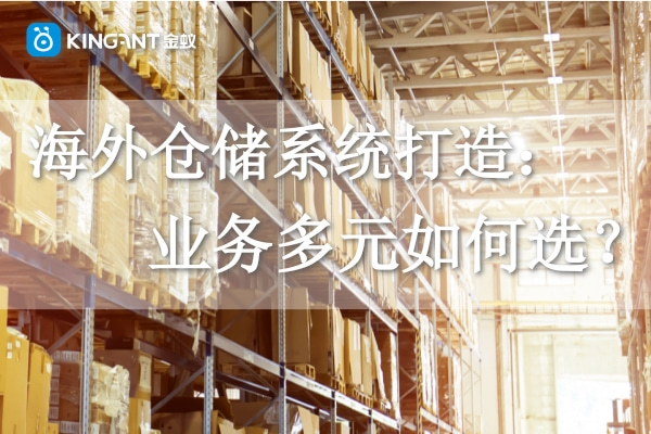 海外倉儲(chǔ)系統(tǒng)打造：業(yè)務(wù)多元如何選？
