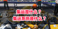 集運(yùn)是什么？ 集運(yùn)系統(tǒng)是什么？