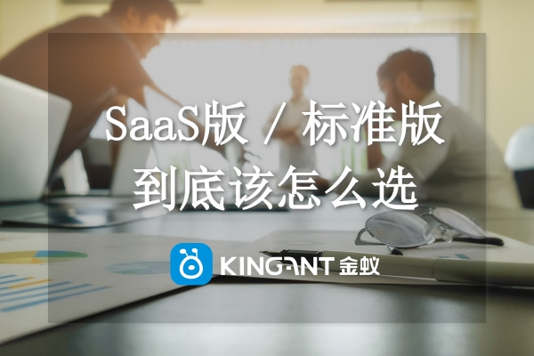 跨境系統(tǒng)有預算，SaaS版（云版）和標準版我該選哪個？